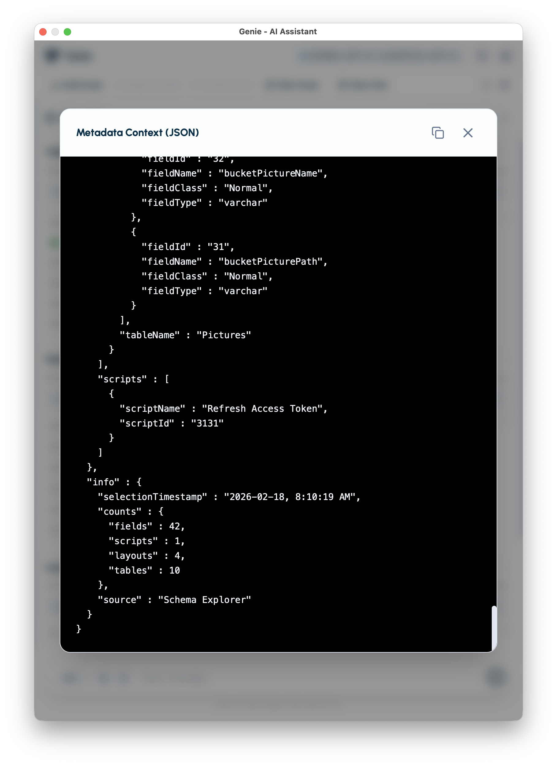 Metadata Preview ( JSON )